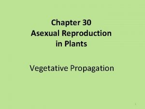 Artificial vegetative reproduction