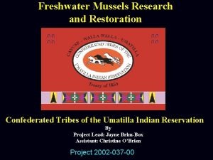 Freshwater Mussels Research and Restoration Confederated Tribes of