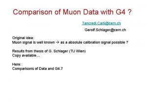 Comparison of Muon Data with G 4 Tancredi