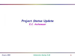 Project Status Update E C Aschenauer January 2008