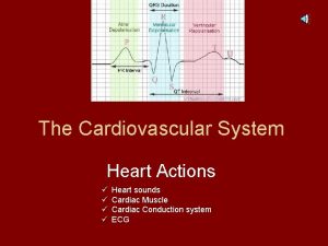 Cardiac conduction