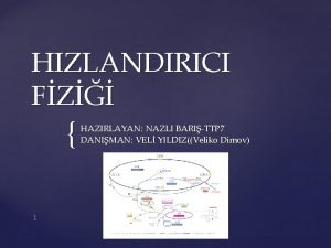 HIZLANDIRICI FZ 1 HAZIRLAYAN NAZLI BARITTP 7 DANIMAN