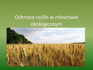 Ochrona rolin w rolnictwie ekologicznym Do ochrony rolin