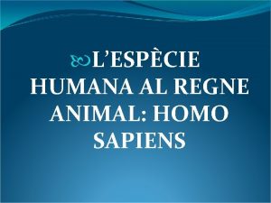 LESPCIE HUMANA AL REGNE ANIMAL HOMO SAPIENS CLASSIFICACI