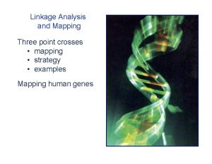 Linkage Analysis and Mapping Three point crosses mapping