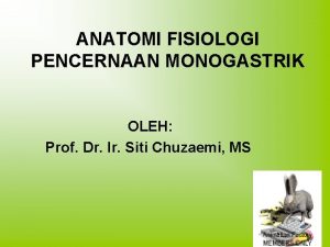 Sistem pencernaan monogastrik