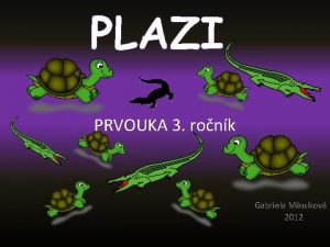 PLAZI PRVOUKA 3 ronk Gabriela Mikulkov 2012 MAJ