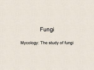 Fungi Mycology The study of fungi Aidhm 1