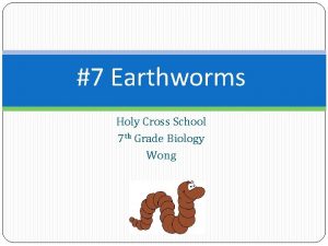 7 Earthworms Holy Cross School 7 th Grade