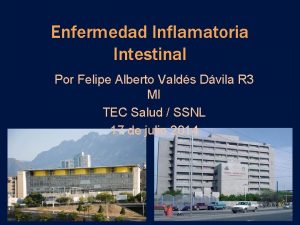 Enfermedad Inflamatoria Intestinal Por Felipe Alberto Valds Dvila