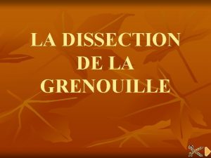 LA DISSECTION DE LA GRENOUILLE Conception et ralisation