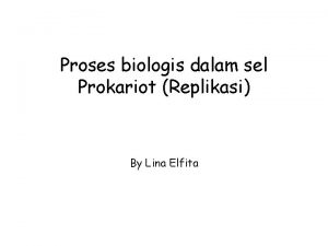 Proses biologis dalam sel Prokariot Replikasi By Lina