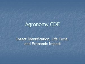 Agronomy CDE Insect Identification Life Cycle and Economic