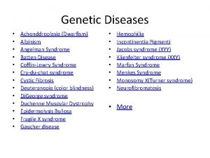 Genetic Diseases Achonddroplasia Dwarfism Albinism Angelman Syndrome Batten