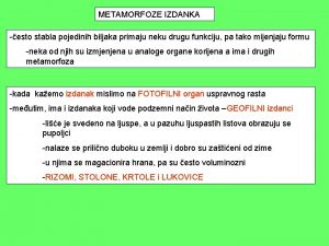 METAMORFOZE IZDANKA esto stabla pojedinih biljaka primaju neku