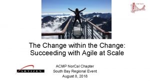 The Change within the Change Succeeding with Agile