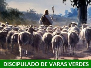 Varas verdes de álamo