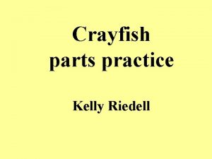 Crayfish parts practice Kelly Riedell Name this pincher