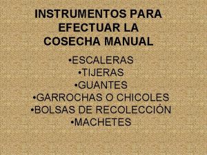 INSTRUMENTOS PARA EFECTUAR LA COSECHA MANUAL ESCALERAS TIJERAS