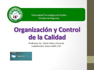 Universidad Tecnolgica de Puebla Divisin de Negocios Organizacin