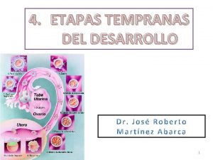 4 ETAPAS TEMPRANAS DEL DESARROLLO 6132021 1 OBJETIVOS