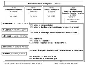 Laboratoire de Virologie Pr D Hober UFCM Virologie