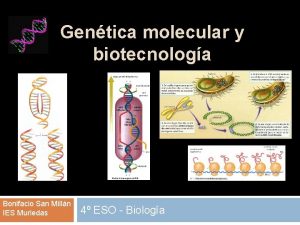 Gentica molecular y biotecnologa Bonifacio San Milln IES