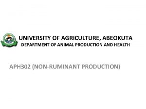 UNIVERSITY OF AGRICULTURE ABEOKUTA DEPARTMENT OF ANIMAL PRODUCTION