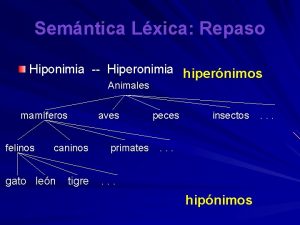 Semntica Lxica Repaso Hiponimia Hiperonimia hipernimos Animales mamferos