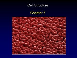 Cell Structure Chapter 7 2 Cell Theory All