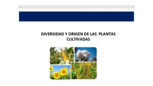 DIVERSIDAD Y ORIGEN DE LAS PLANTAS CULTIVADAS El