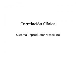 Correlacin Clnica Sistema Reproductor Masculino Fimosis La fimosis