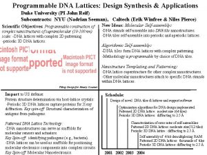 Programmable DNA Lattices Design Synthesis Applications Duke University