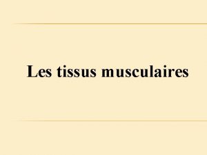 Les tissus musculaires Le muscle lisse Paroi de