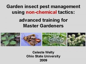 Garden insect pest management using nonchemical tactics advanced