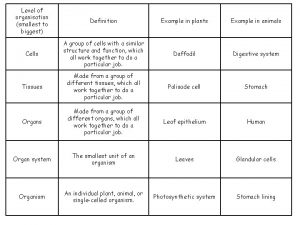 Level of organisation smallest to biggest Definition Example