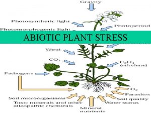 ABIOTIC PLANT STRESS 1 PLANT STRESS 1 Any