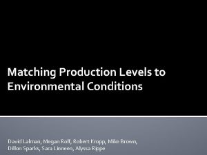 Matching Production Levels to Environmental Conditions David Lalman