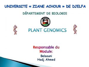 DPARTEMENT DE BIOLOGIE Belaouni Hadj Ahmed I Introduction