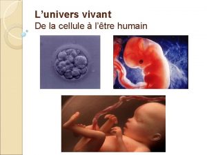 Lunivers vivant De la cellule ltre humain La