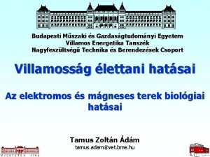 Budapesti Mszaki s Gazdasgtudomnyi Egyetem Villamos Energetika Tanszk