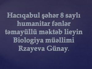 Hacqabul hr 8 sayl humanitar fnlr tmayll mktb