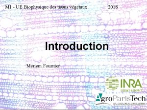 M 1 UE Biophysique des tissus vgtaux 2018