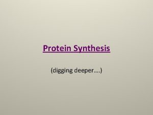 Protein Synthesis digging deeper transcription An enzyme separates