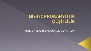 BY 432 PROKARYOTK ETLLK Prof Dr Sevgi ERTURUL