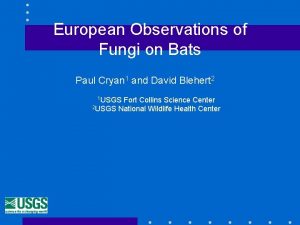 European Observations of Fungi on Bats Paul Cryan