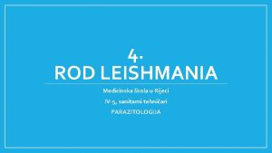 4 ROD LEISHMANIA Medicinska kola u Rijeci IV5