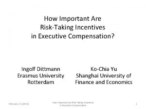 How Important Are RiskTaking Incentives in Executive Compensation