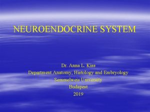 NEUROENDOCRINE SYSTEM Dr Anna L Kiss Department Anatomy