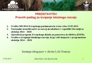 PREDSTAVITEV Pravnih podlag za izvajanje lokalnega razvoja 1